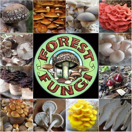 Gourmet Mushroom Cultivation April 20-21